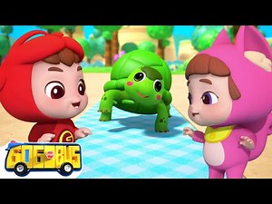 I Had A Little Turtle Nursery Rhyme + more GoGoBus Songs Collection