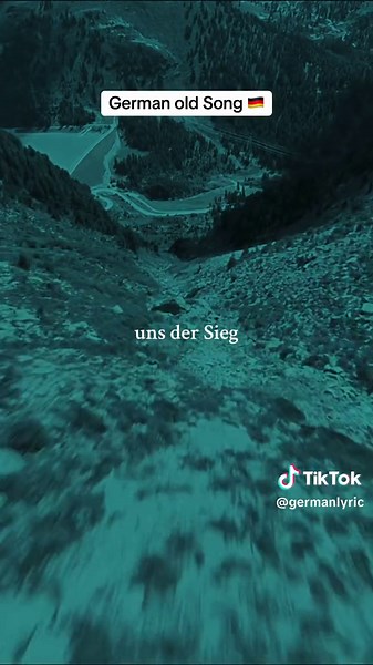 German Old Song: AFD Techno Song TikTok