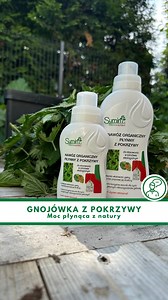 Pokrzywa to roślina o wielu cennych właściwościach wykorzystywanych w ogrodzie – działa jako naturalny nawóz, stymuluje wzrost oraz chroni przed szkodnikami i chorobami. Jak w takim razie wydobyć z pokrzywy jej cenne właściwości? Robiąc gnojówkę! Oto sprawdzony przepis: ✅️ Świeża pokrzywa (bez kwiatów i nasion) – ok. 1 kg ✅️ Woda – 10 litrów (najlepiej deszczówka lub odstana) Sposób przygotowania: 1️⃣Pokrzywę drobno posiekaj i włóż do pojemnika/wiadra/beczki. 2️⃣ Zalej wodą tak, by całkowicie pr