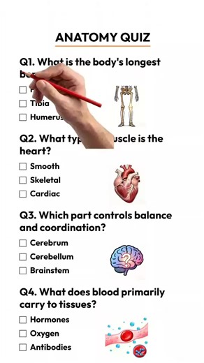 Challenging Anatomy Quiz: Test Your Knowledge Now