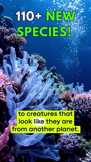 20,000 Feet Deep: A Secret Alien World Found! 🌊👽