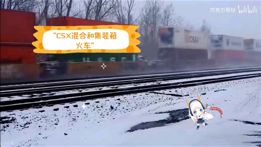 CSX混合和集装箱火车