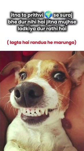 #viral​#funny​#viralmemes​ #aestheic​#trendingshorts​#instamemes​#catsmemes​#ytshorts