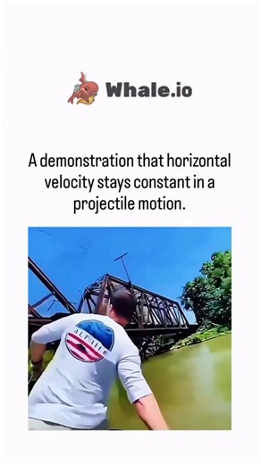 CURSED on Instagram: "The video demonstrates the concept of projectile motion through a practical experiment involving a man throwing a cup from a moving boat. Early in the video, the man stands up and throws an object, which is shown to follow a parabolic trajectory under the bridge. The camera then returns to the man, who throws another object while seated in the boat. An illustration of projectile motion is overlaid on the screen, showing the horizontal distance the object travels before hitt
