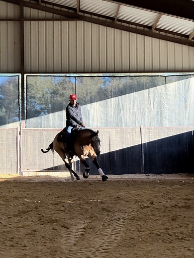 Training Day for "Ben" for the Futurity 💪🔥 Every ride is part of the process — some days things click, some days it’s all about patience and adjustments. That’s what makes the Futurity journey so special. It’s not about perfection every day, it’s about progress. 🐎 👉 If you want to learn how to build better training habits, visit mattmillsreining.com and discover the Gold Medal Formula 🥇 . . #reining #reininghorses #equestrianlife #horselover #reininghorse #horsetraining #horseshow #horserid