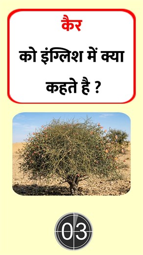What is Kair called in English #gkquiz | Kair in English | Hindi to English Meaning | Mahipal Rajput
