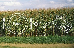 Food vs. fuel - Alchetron, The Free Social Encyclopedia