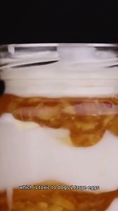 recipe for dog biscuits