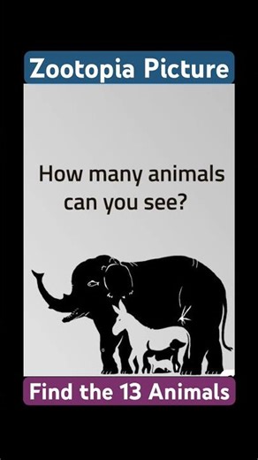 Find the 13 Animals! List in the description…
