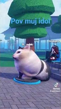 początku muj idol