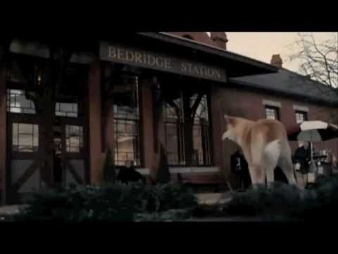Hachi, a dogs tale- goodbye (from the original soundtrack)