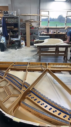 Day 10 update, A time lapse of stringing the first section of Rose. In the back ground you can see Dom and Will fitting a soundboard to a stunning bechstein C. #piano #pianorestorationsltd #leverettpianos #pianocover #pianorestoration #pianocover #pianist #pianomusic #pianist #pianoplayer #art #bluthner #heckscherpianoparts #artist | Piano Restorations Ltd