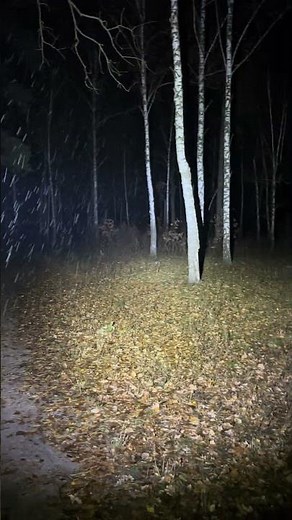 4000Lm in your pocket – a review of the beastly VIDEX VLF-A406! 🔦✨