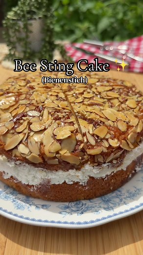 Bienenstich Cake Recipe: Classic German Bee Sting Cake