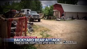68K views · 687 reactions | BACKYARD BEAR ATTACK: Wildlife officials are on the hunt after a black bear attacked a five-year-old in Colorado and dragged the little girl from her home. Clayton Sandell reports. https://abcn.ws/2IICF4a | ABC World News Tonight with David Muir | Facebook