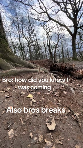 The Importance of Mountain Bike Brake Maintenance