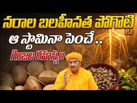 నరాల బలహీనత పోగొట్టి ఆ స్టామినా పెంచే .. గింజల రహస్యం | Ravivarma | AYUR MANTRA