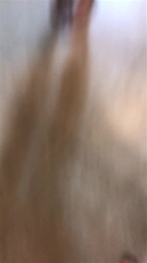 Me and my brudda’s had to show em who’s boss😰😰🔫⛓😫💯‼️ @larrayeeee #disstrack #fyp #foryou #viral