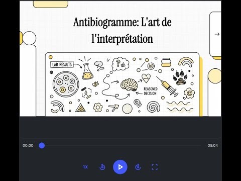 Antibiogramme L art de l interprétation