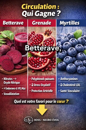 Gagnant : la betterave Pourquoi ? • Très riche en nitrates naturels • Augmente l’oxyde nitrique (NO) • Améliore la circulation sanguine • Peut soutenir la performance cardiovasculaire Comparaison : • Grenade → polyphénols puissants, protection des artères • Myrtilles → anthocyanines, antioxydant vasculaire 👉 Les trois sont excellents, mais la betterave domine pour la circulation et l’oxygénation musculaire. #SantéNaturelle #NutritionSanté #AlimentationSa﻿ine #SantéCardiaque #EuropeSanté **Ross-