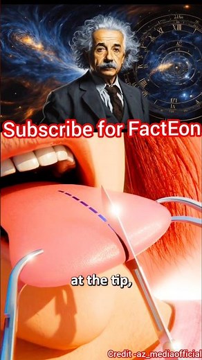 Tongue Splitting: How Surgeons Create a Snake-Like Tongue 👅⚡ | Extreme Body Modification Explained