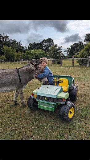 11 years of Mr Kipling 🥰 | The Pony Pals Family