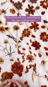 Learn more about Eco Printing with this full process tutorial 🌸 Follow @wastefreeplanet for more sustainable education and join our green family of over 690K! Be sure to check out for our Waste Free Home Guide available now🌎💚 Subscribe for 25% off! Repost • @thebarefootdyer #zerowastehome #zerowasteliving #zerowastelifestyle#zerowastejourney #zerowastecommunity#sustainablecollective #ecofriendly #zerowastecanada#journeytozerowaste #plasticfree #goingzerowaste#sustainableliving #reducewaste #w