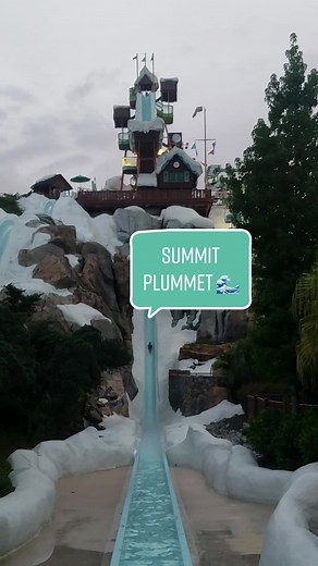 Would you take the plunge? 🌊 #Disney #DisneyParks #BlizzardBeach #WaterPark #WaterSlide #Summer