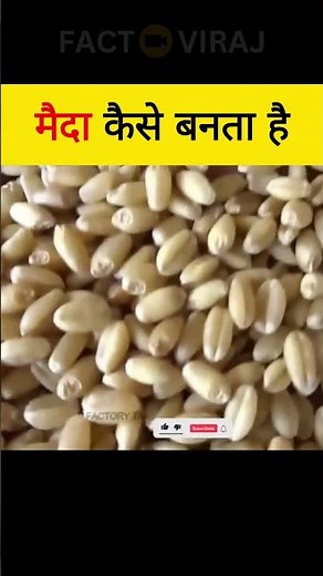 मैदा कैसे बनता है 😲 | How is Maida Made?