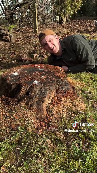 Easy peasy stump removal. #stump #removal #onthisday | exploding tree stump removal