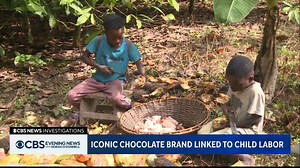 A CBS News investigation revealed the use of child labor in West Africa, some as young as 5, in cocoa harvesting linked to candy giant Mars, the supplier of products like M&M’s and Snickers. In a statement, Mars condemned the use of child labor, but said more needs to be done. | CBS Evening News