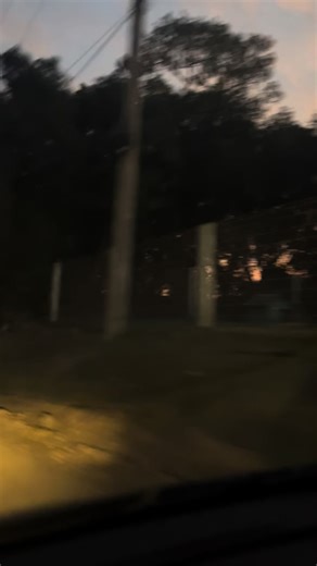 Home…🎶 🧉🐶🥹