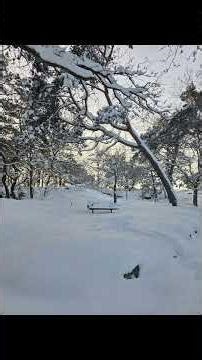 “Sweden Under Snowfall | A Winter Wonderland”“Walking Through Snowy Sweden | Peaceful Winter Vlog”