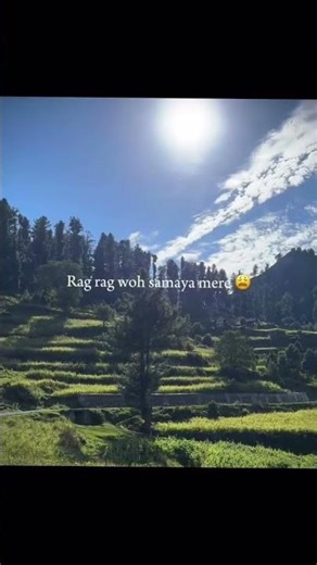 #❤️‍🩹🕊️ #shortvideo