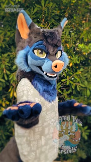 StuffedTailsFursuits on Instagram: "🧡 Drew 💙 Short video of the folf in action! Video by the talented @hadescave #fursuit #furryfandom #fursuiter"