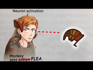 UNEDITED - Collecting Every Bug Model in ACNH! Part 1/2