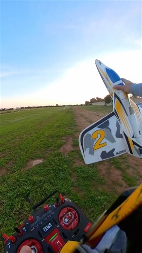 Multiplex Funjet 2 vector 1/2 session 💪⚡️⚡️‪@thobbyfpv‬ ‪@kavanrc‬ #pov #aviation #viral #fpv #aos
