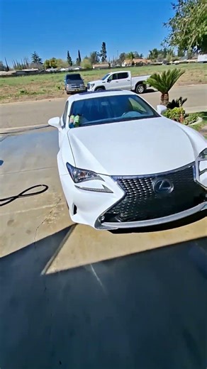 Can a retail product deliver pro results? lets find out! #rustoleum #wipenew #shorts