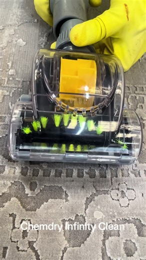 #limpieza #tapetepersa #tapetehindú #tapetedeseda #trucosdelimpieza #tapetedelana #chemdryinfinityclean #cdmx #méxico #tapetedeyute #lavadodesala #contrucciónyrenovación #diseñodeinteriores #pulidodemarmol #viralvideo