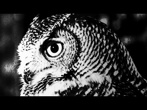 [MV] 아사달 (Asadal) - 무영탑 (Pagoda of No Shadow) / Official Music Video