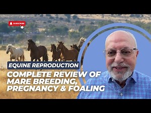 Equine Reproduction | Complete Review of Mare Breeding, Pregnancy & Foaling