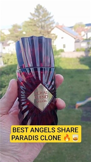 This Clone Smells 95% Like Angels’ Share Paradis 🤯🔥Royal Blend Sequoia Review