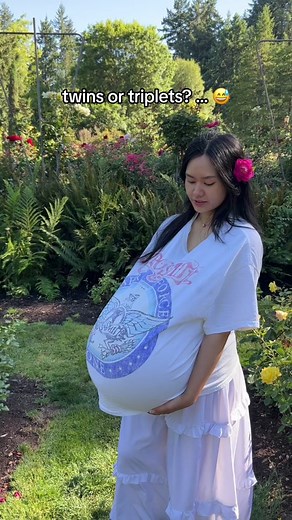 let’s set up a shrimp bowl haven! :) ☁️🌱🦐 this is a Walstad style aquarium bowl that requires no mechanical FIlter, CO2, or heater to thrive. Here are the live contents in the bowl: 🌱 Plants: -2 rosette sword -1 red tiger lotus -1 taiwan lily 🦐 Inhabitants: -6 *blind* glass belly guppies -4 cherry shrimp -2 amano shrimp #fishtok #shrimp