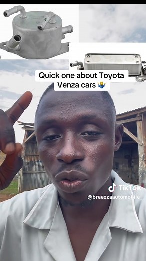 Toyota Venza Review and Features Explained