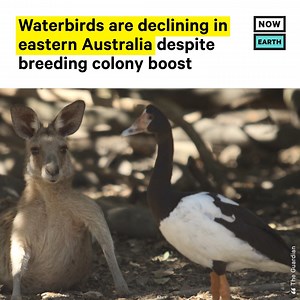 44K views · 47 reactions | The University of New South Wales (UNSW)...