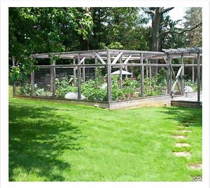 [Hot Item] Agrochemicals Pesticide for Agriculture Insecticide Emamectin Benzoate  Pyriproxyfen 20g/L 60g/L Ec