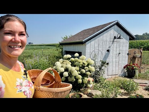 Herbs to dry for homemade tea/ how to make a diy herb drying rack