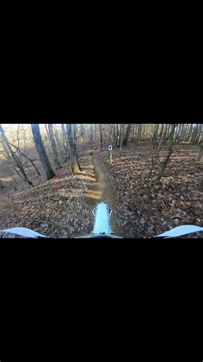Unleash the Beast: Epic Woods Bike Race Domination! #shorts