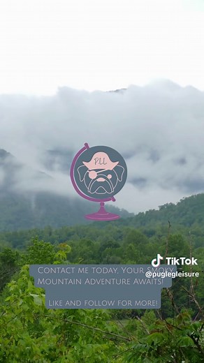 Gatlinburg/Pigeon Forge, TN: Here are five captivating attractions that you absolutely must experience! First up is Dollywood, a thrilling theme park brimming with excitement. With an impressive selection of over 40 rides, shows, and attractions, Dollywood caters to all ages. From roller coasters to water rides and captivating live performances, there's something for everyone. And of course, Dolly Parton! Next is Ripley's Aquarium of the Smokies, a mesmerizing underwater world that houses over 3