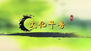 文化平鲁宣传片